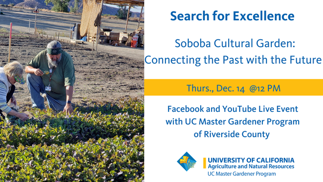 Facebook Live: Search for Excellence, Soboba Cultural Garden: Connecting the Past with the Future. Date: Thursday, Dec. 14Time: NoonLink: https://fb.me/e/ezaSqztUN