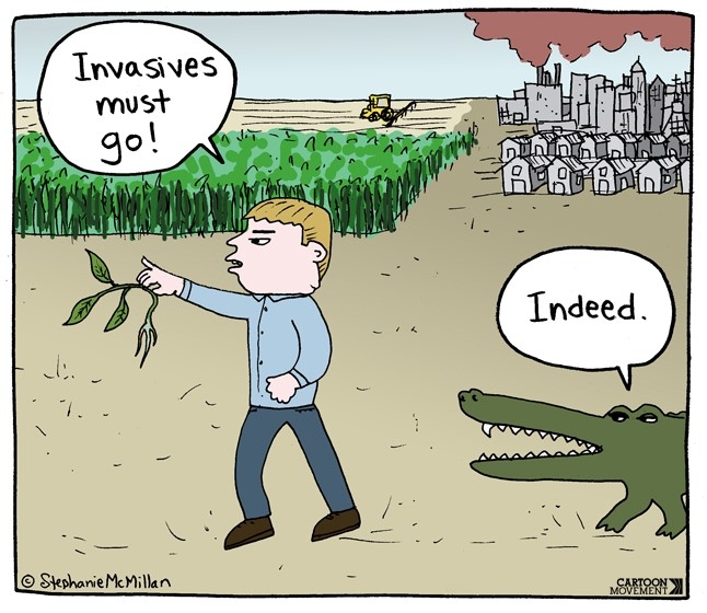 Invasive species are second greatest threat to biodiversity after Guess Who ... ?
