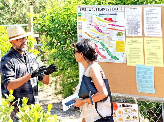The UC Master Gardener Program is open to anyone interested in becoming volunteers and sharing gardening knowledge with the public. Photo credit: Evett Kilmartin ©UC Regents