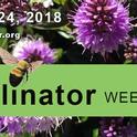 http://pollinator.org