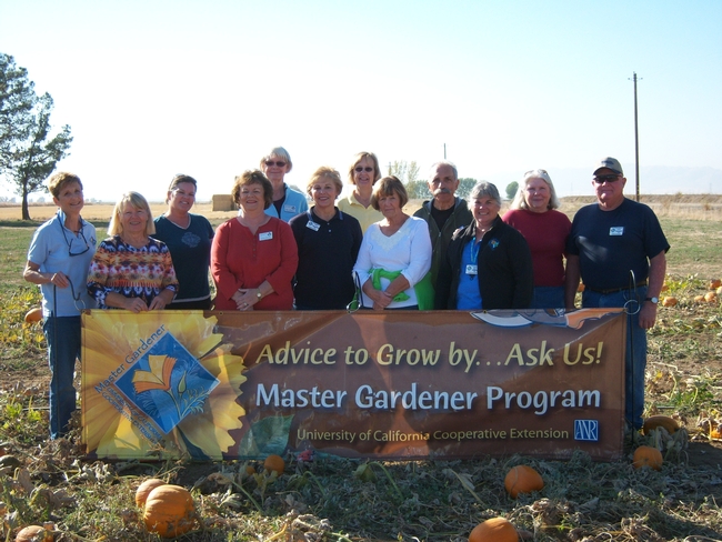 Our 40th year anniversary aims to honor all UC Master Gardener volunteers, past and present! Pictured here are UC Master Gardener volunteers from Colusa County in 2013.