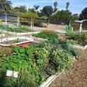 The Grow Lab provides a hands-on laboratory for UC Master Gardener trainees and a venue for UC Master Gardeners to educate the public on innovative vegetable gardening techniques in Riverside County.