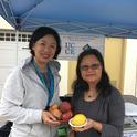 Jennifer Kwoon (left), displays a variety of stone fruit at the while volunteering at the Alhambra Farmers Market in Los Angeles County. Jennifer’s many contributions to the UC Master Gardener Program, include analysis of volunteer applicant demographics, service on the newly formed Diversity, Equity, and Inclusion (DEI) Task Force, and extending garden information in Mandarin and Cantonese. [Photo taken pre-COVID].