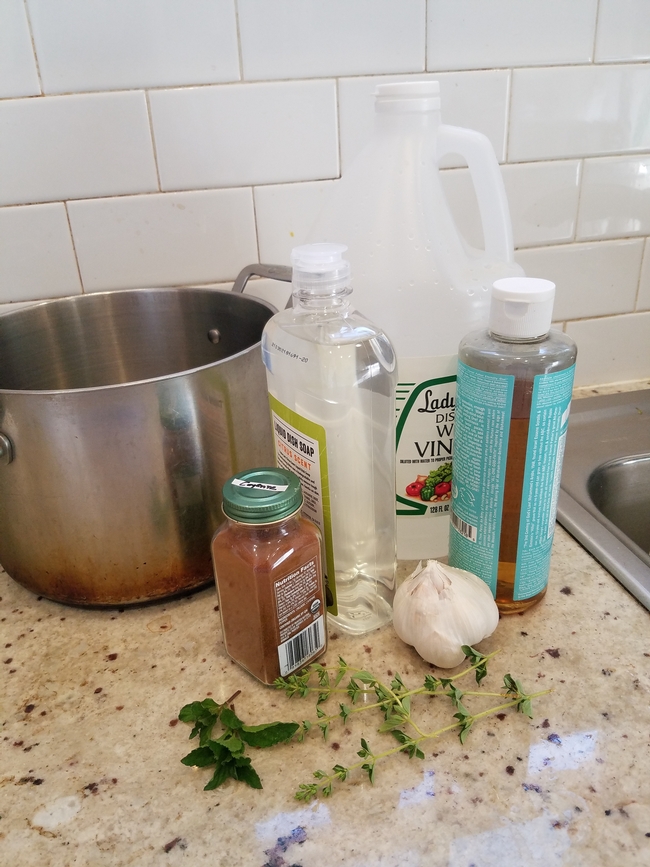 A pot surrounded by white vinegar, a clove of garlic, dish soap and other ingredients on a countertop