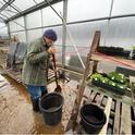 Barry tending to greenhouse flooding