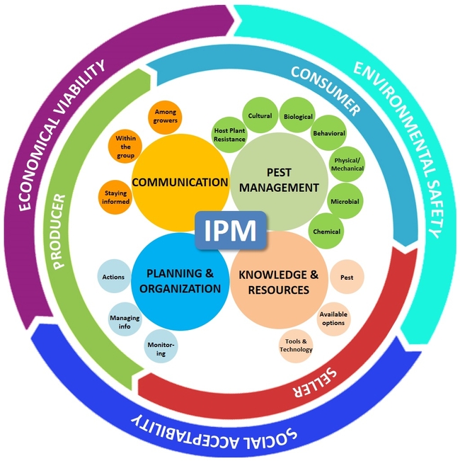 New IPM paradigm