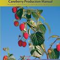 With more than 90 color photos, tables and illustrations and written by the UCCE experts in caneberries, the Fresh Market Caneberry Manual is the perfect field reference for growing blackberries and raspberries in California and the western United States.