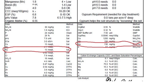 Sample #2: Saturation extract of Na measured as 13 meq/L, and the amount of 'exchangeable sodium' of 130 mg/kg is 6.8% of the total base saturation (box at bottom right) , well above the 2.5% which is OK for coastal soils. The strawberry plants from this part of the field were dying.