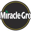 What about Miracle Gro as a fertilizer for strawberries?