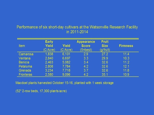 Figure 1: Comparison of Six UC Short Day Strawberry Cultivars 2011-2014