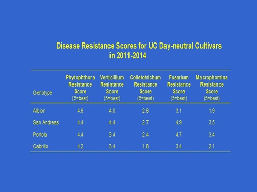 Figure 4: Disease Resistance Comparison of Four UC Day Neutral Cultivars 2011-2014