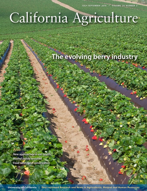 The New Issue of Cal Ag just came out and it's all about strawberries!