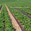 The New Issue of Cal Ag just came out and it's all about strawberries!