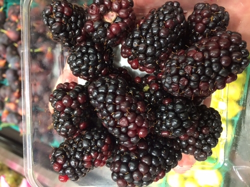 Reversion in blackberries I found at the store on September 9.