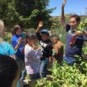 Phil Minnick leads the group on a garden tour.