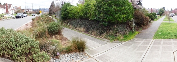 Street-side stormwater facilities are now common in many urban areas. Photo by Igor Lacan.