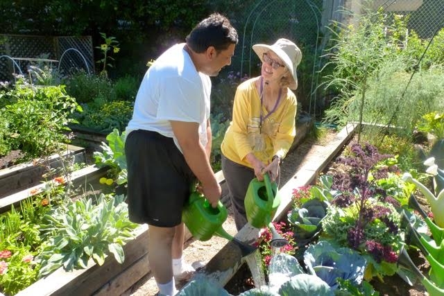 Simple tasks like watering plants can help mentally ill patients focus on a specific task.