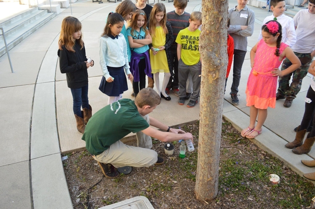 Young 4-Her's had the chance to share their knowledge with even other aged audiences: a transfer of knowledge between age groups that is critical to the success of 4-H.