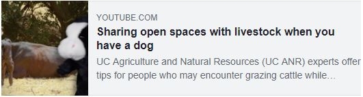 Vid-Sharing open w dogs