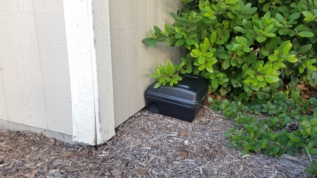 Fig 2. Rodenticide bait station placed along exterior wall. These stations can also house snap traps instead of a rodenticide. (Photo by N. Quinn)