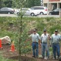 The County of Ventura Landscape Division reduces future labor, replacement, pest management, and water costs by planting the right plant in the right spot. These choices include the California native shown above, which thrives under low-water conditions and the occasional wet conditions the tree will experience in this bioswale.