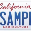 AG license plate
