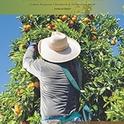 Citrus Production manual
