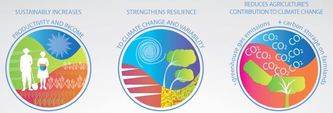 The three pillars of Climate Smart Agriculture. www.fao.org/climatechange/climate-smart.