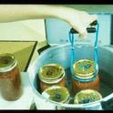 Home canning can improve food security. Following food safety guidelines helps to insure quality.