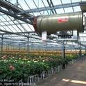 An inside look at a gerbera greenhouse in Ventura County. Heaters and fans are used for temperature and humidity control. (photo by J.K. Clark)