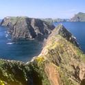 Plants found nowhere else on Earth grow on the Channel Islands. Photo from National Park Service.