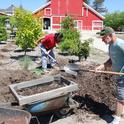 Time spent preparing soil in the garden is time well spent. Healthy soil provides nutrients and promotes healthy root growth.