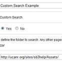 Custom Search