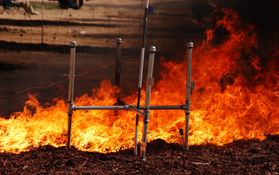 Rubber mulch produced the highest flames of mulches tested.