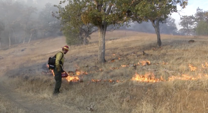 Prescribed burning team 9