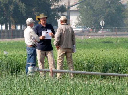 Research Discussion at the 2013 IREC Field Day