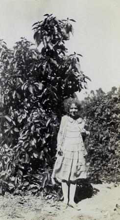 Vintage Woman in Avocado Orchard