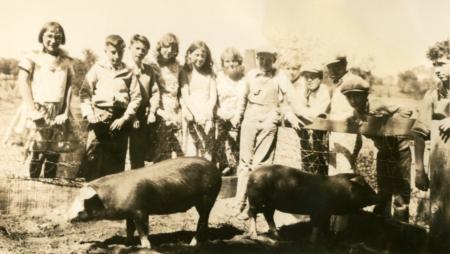Vintage Youth with Pigs