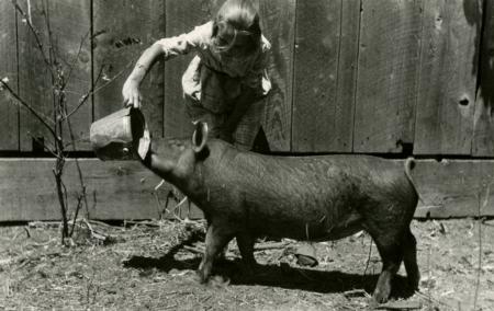 Vintage Girl Feeding Pig
