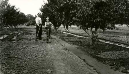 Vintage Man and Boy in Orchard
