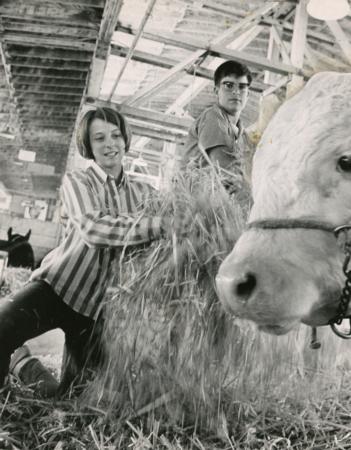 Vintage 4-H Girl, Boy and Cow