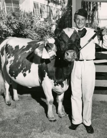 Vintage 4-H Boy and Cow