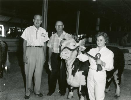 Vintage 4-H Girl with Cow and Judges