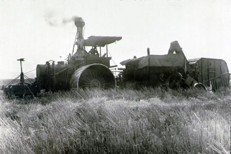 Vintage, Small Grain Harvest