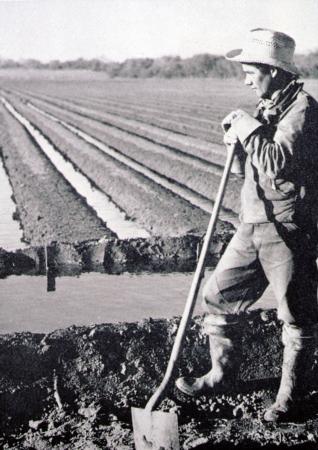 Vintage, Field Irrigation
