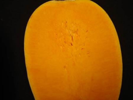 Butternut Squash Internal Breakdown when stored too long and/or at warm temperatures