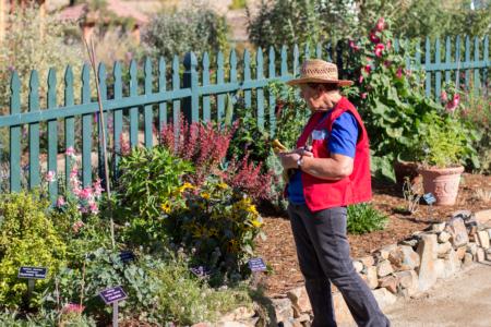 Sherwood Demo Garden - Placer County