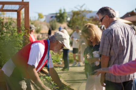 Sherwood Demo Garden - Placer County