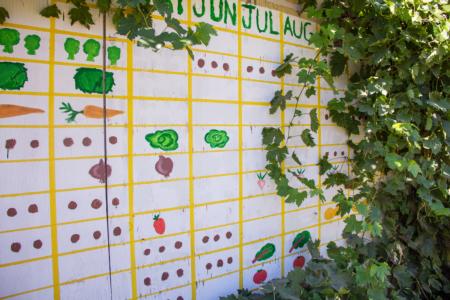 Community edible garden planning mural