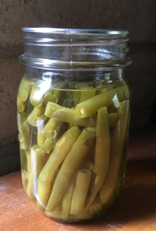 Green beans - pressure canned